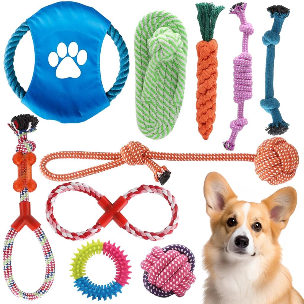 Actividades para perros que se aburren fácilmente 1 KAMYSEN Contiene 10 Juguetes, Juguete con Correa para Perros ...