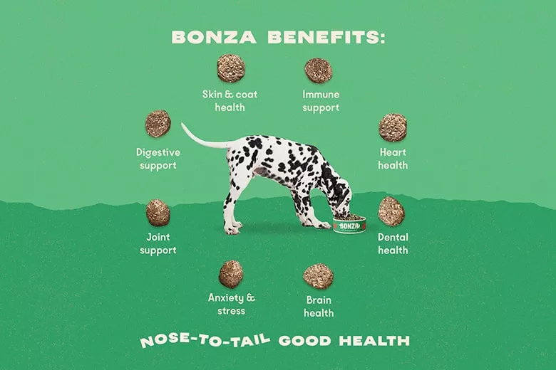 Cómo alimentar a tu perro para mejorar su longevidad 1 Su alimentación está envejeciendo a tu perro? Descubre la clave ...