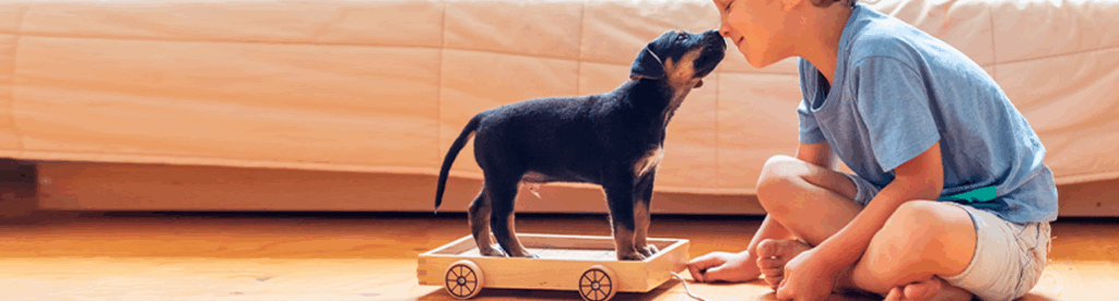 Consejos para manejar perros muy inquietos 1 Cómo manejar un cachorro inquieto: Tips para perros activos